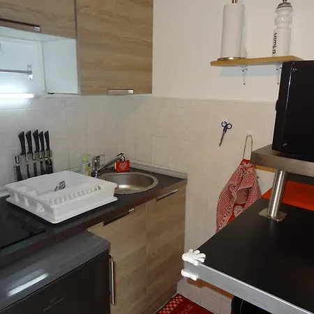 Meije 15 Apartment Auris